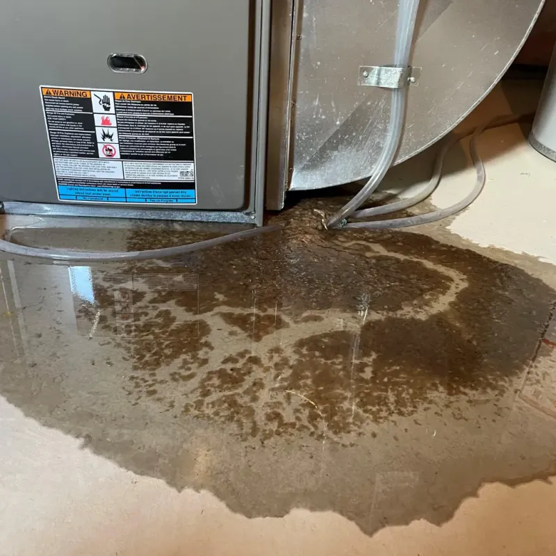 Appliance Leak Cleanup in Mulberry, NC